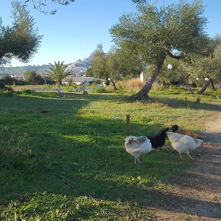 Bungalow -Escapadas En Arcos De La Frontera Eksteriør bilde