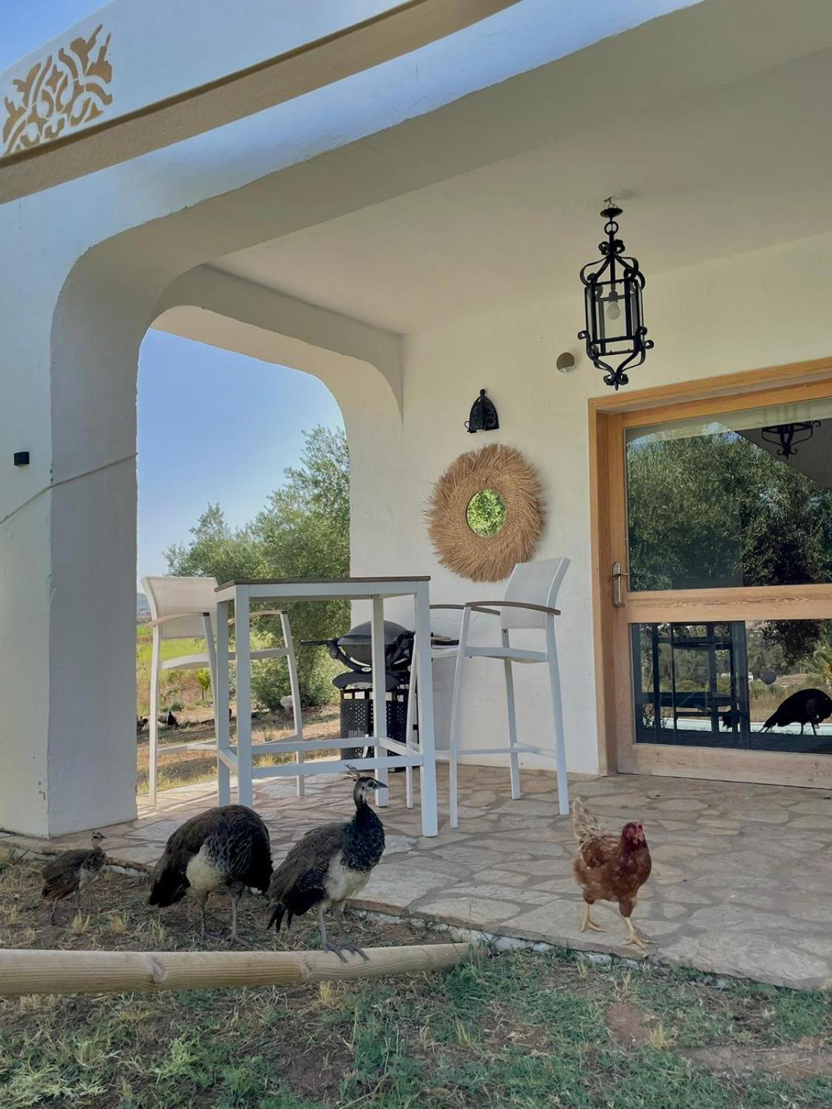 Bungalow -Escapadas En Arcos De La Frontera Eksteriør bilde