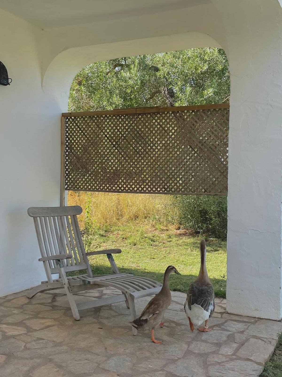 Bungalow -Escapadas En Arcos De La Frontera Eksteriør bilde