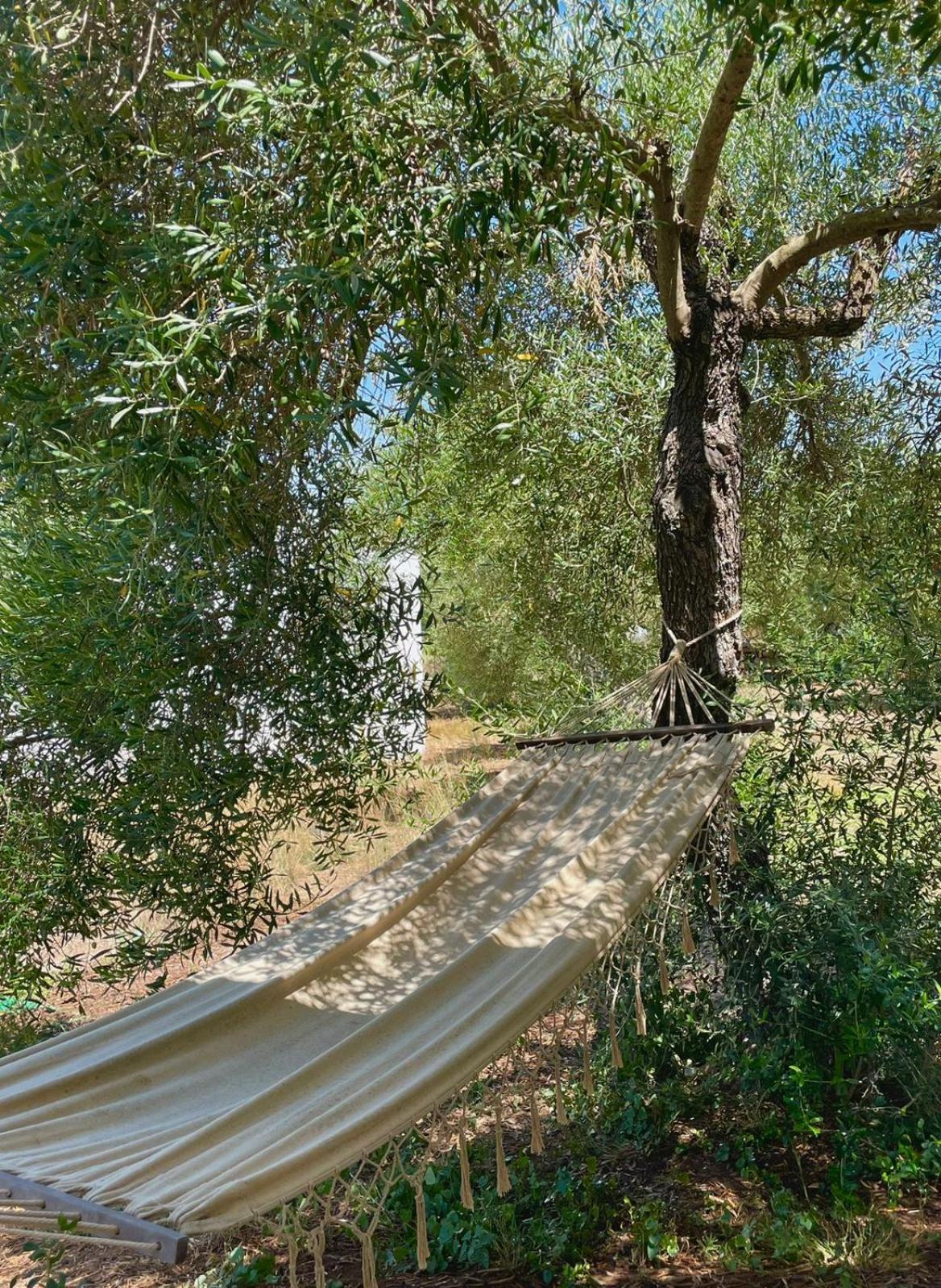 Bungalow -Escapadas En Arcos De La Frontera Eksteriør bilde