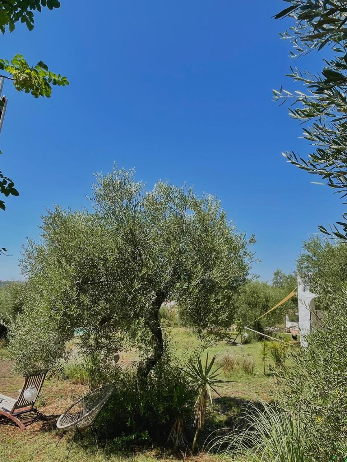 Bungalow -Escapadas En Arcos De La Frontera Eksteriør bilde